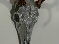 Glamour and Bone Gift Card